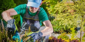 Harmony Turf: Crafting Tranquil Outdoor Retreats with Precision Harmony Turf: Crafting Tranquil Outdoor Retreats with Precision